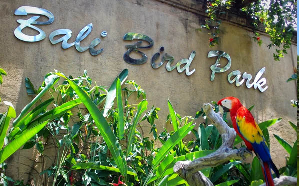 The Bali Bird Park of Paradise