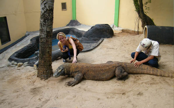 Reptile Park Places to visit in Bali