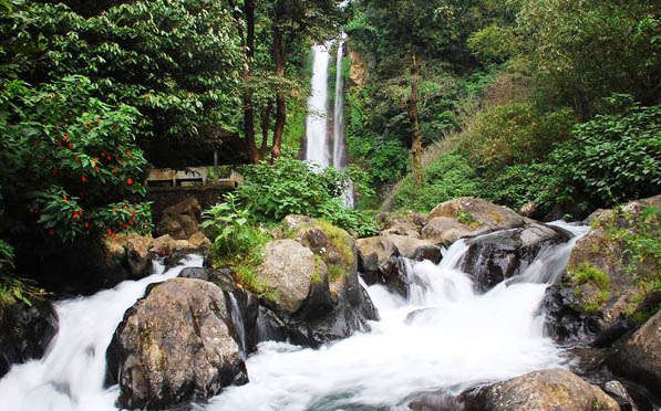Full Day Tour Gitgit Waterfall Bali