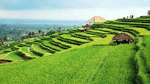 How to Book a Villa in Bali: Practical Tips